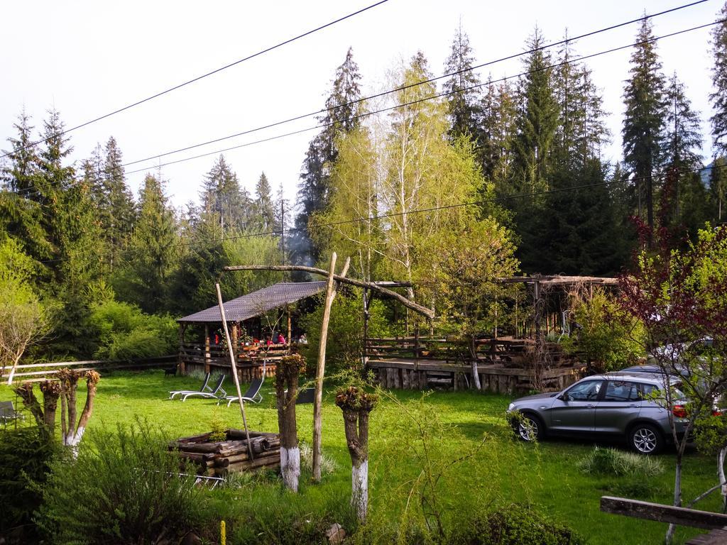 Pensiunea Casa Noastra Arieşeni Extérieur photo