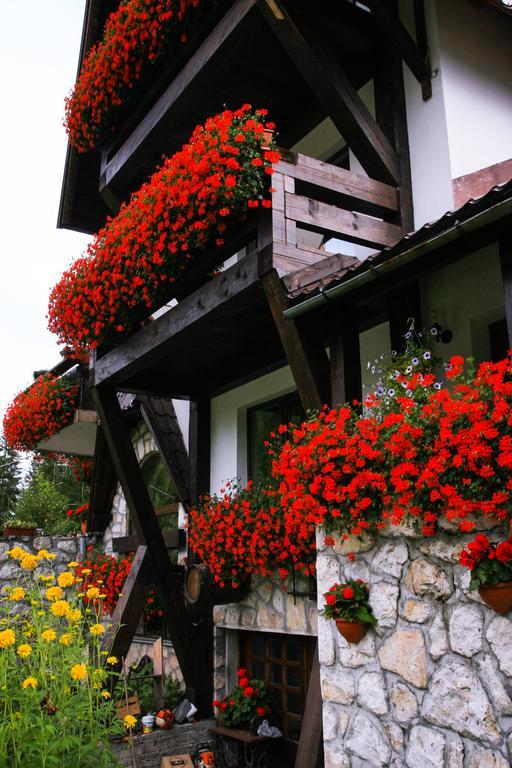 Pensiunea Casa Noastra Arieşeni Extérieur photo