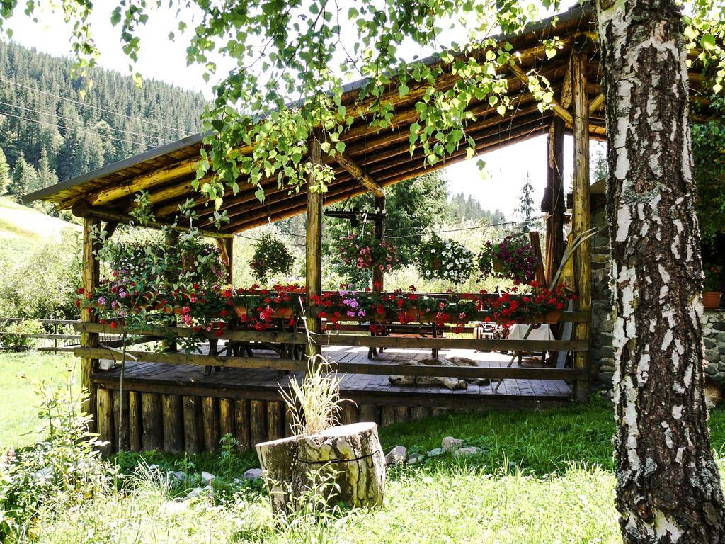 Pensiunea Casa Noastra Arieşeni Extérieur photo