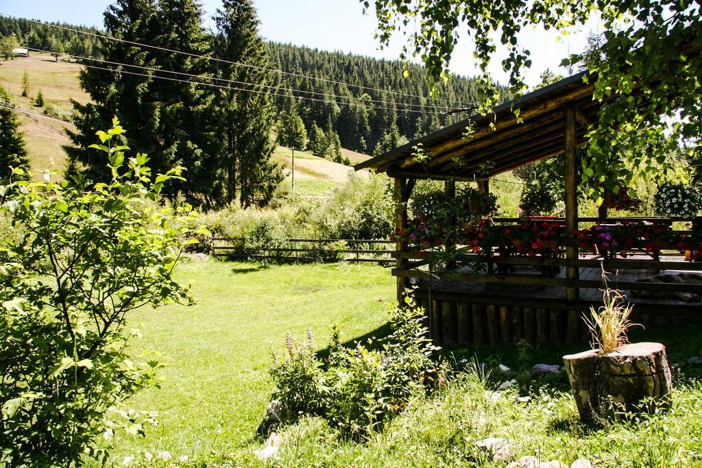 Pensiunea Casa Noastra Arieşeni Extérieur photo